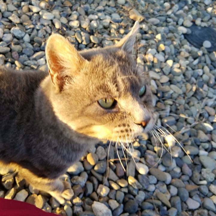 44104990 1cb2 4e06 867b 54e97aa80cc7