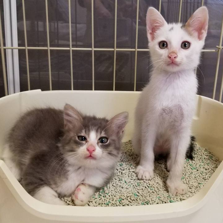 441060b9 b66d 4ed9 afee 80c245ab94dd