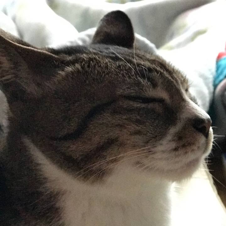 4411f5ce 8a8c 4195 9214 5a5d39049c1c