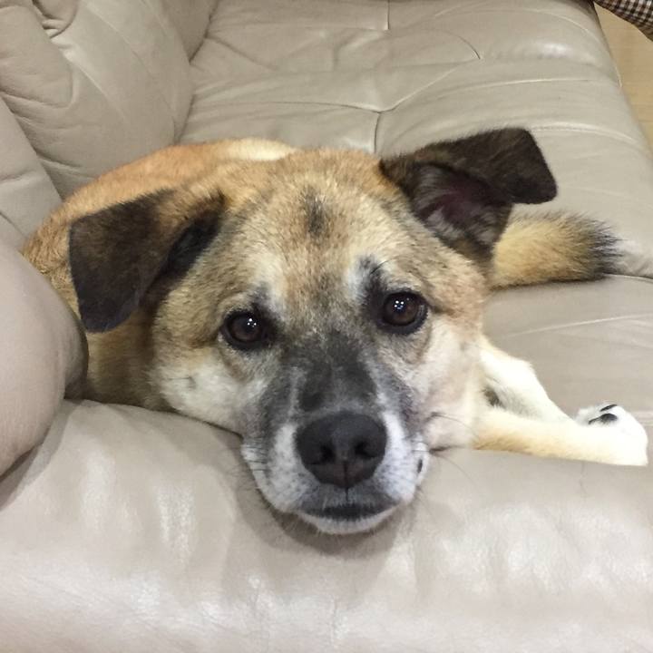 441247fb 5f0a 4b76 a02e 21f387b5f0b2