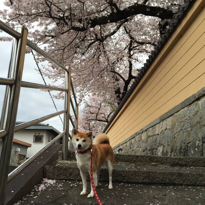 4412de3f f60b 4259 ad7a a44e5aa1d8c7