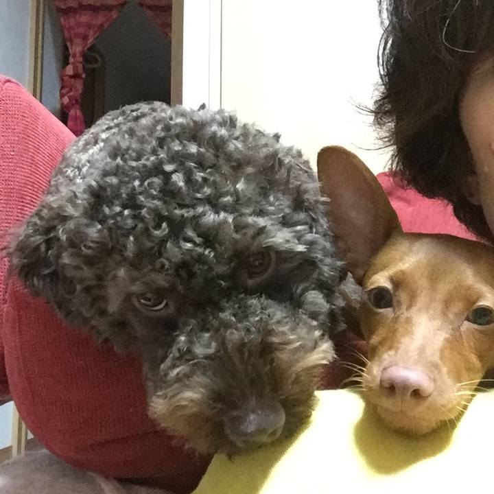 4413141a 50c6 4067 ae13 dc39563024d3