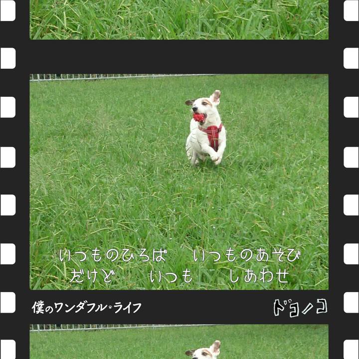 441336c6 6294 40b0 bdd8 db36b809c5fb