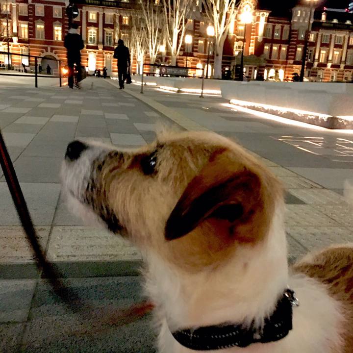 44134c28 622c 4487 8092 a09740145e34