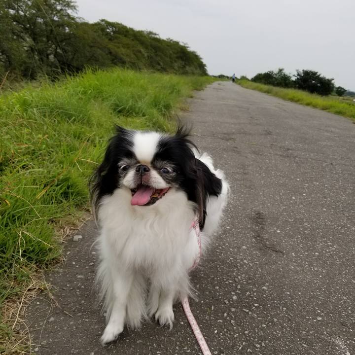 4413ed15 3188 4023 955a 86b47196bccc