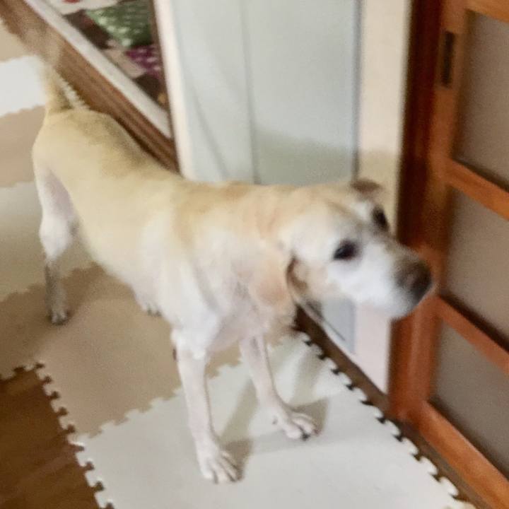 44143a9f deac 4fff 90b5 ab7426e78257