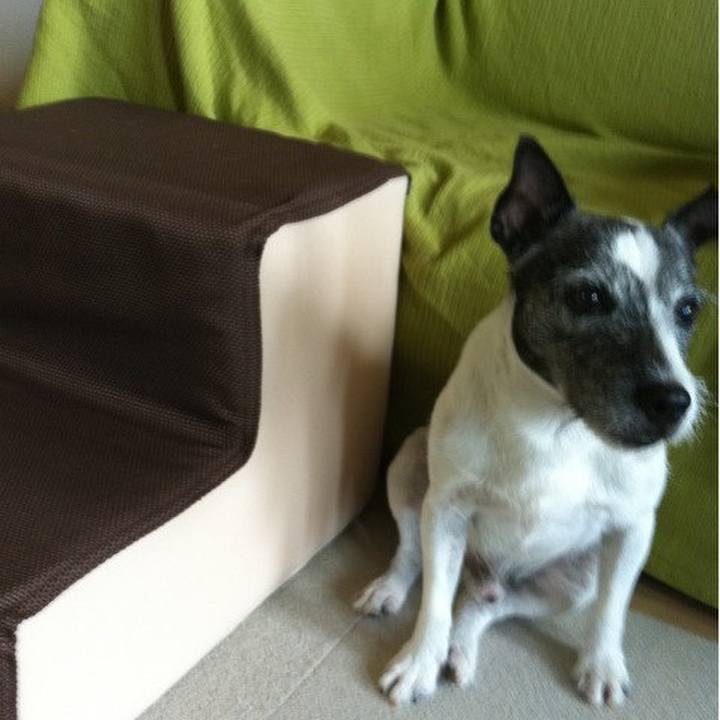 44144131 2177 4f86 88fa 039089ff6a2e