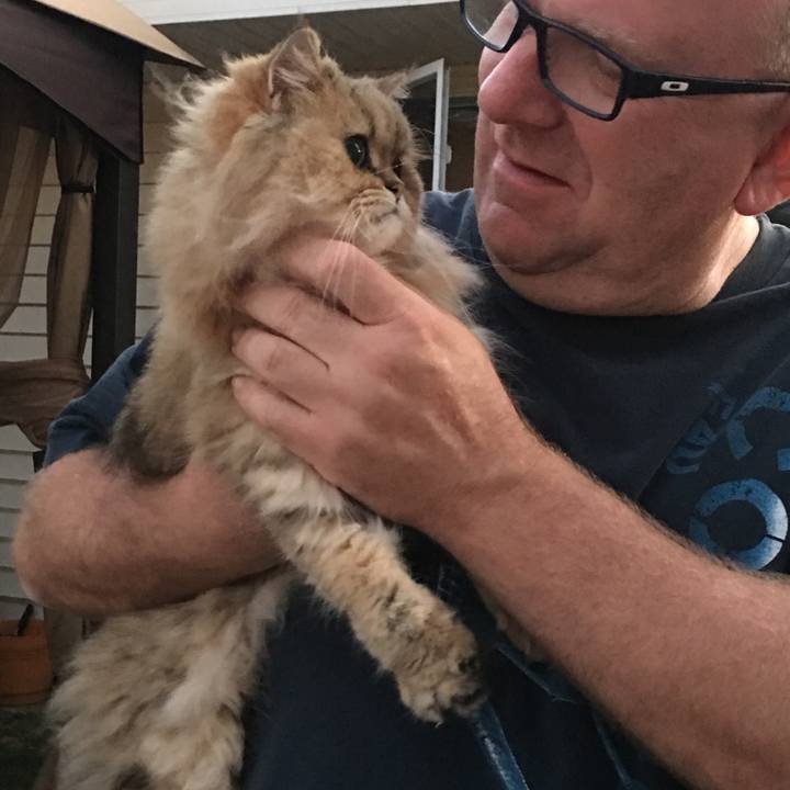 4415568c 98f8 43c9 a284 6b0f6461d055