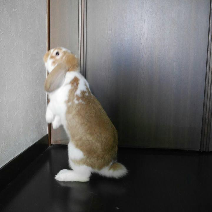 4416d5d2 ac9d 4f82 b2c1 e7e657e2ac0e