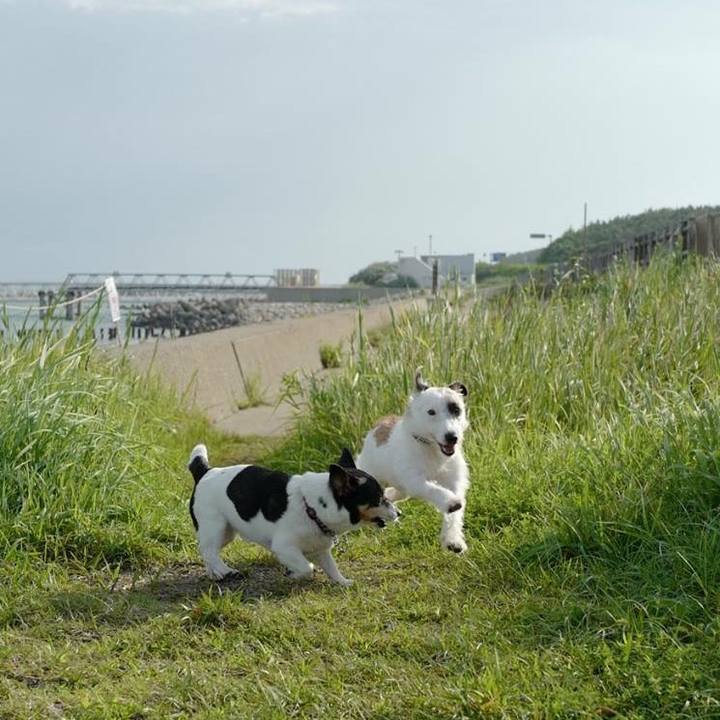 4417442b 55e5 43a9 a60c 90a8415d6a80