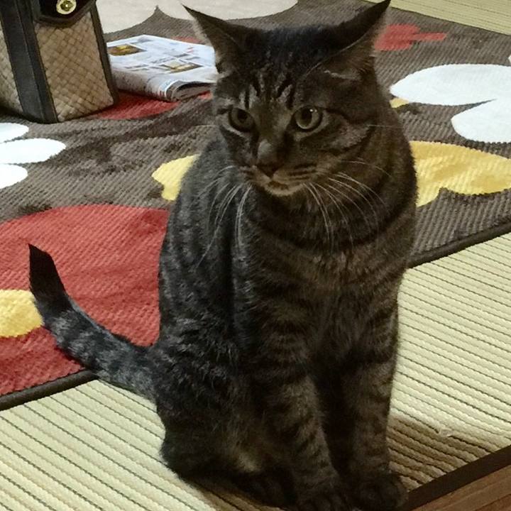 44176a6a 9b8d 4556 b9bd 67506ee74cb6