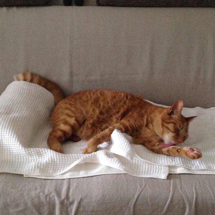 4417e43a 85e8 4d47 a3d4 1786b1dbb556