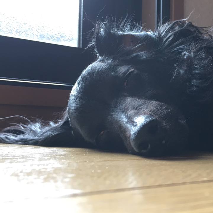 44182fd0 39ca 4d9f 82d3 9c66774af410