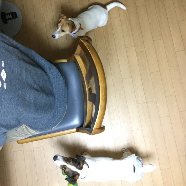 4418935e 8cea 4d6a 8d70 3c9ebbcb61ee