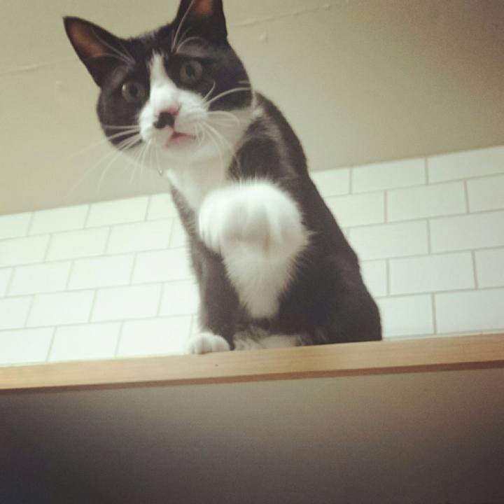 4418aa3b 48e1 424a 8f69 2f91b691883a