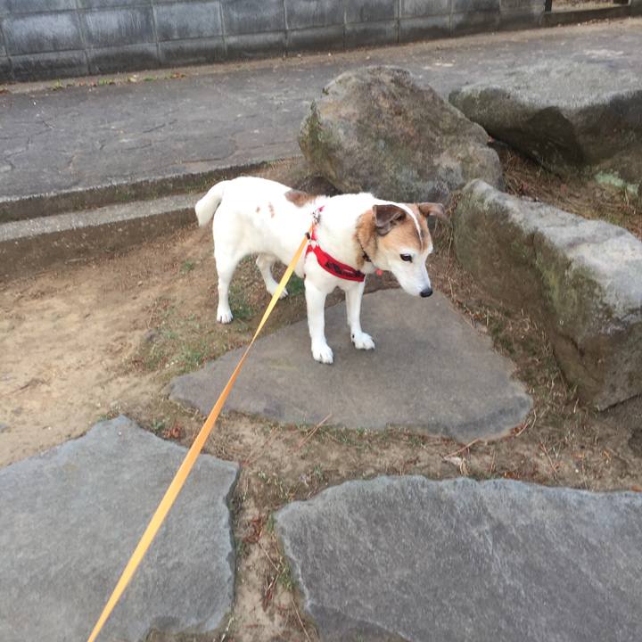 4418b8ec 81b4 4309 a520 097a1fac7104