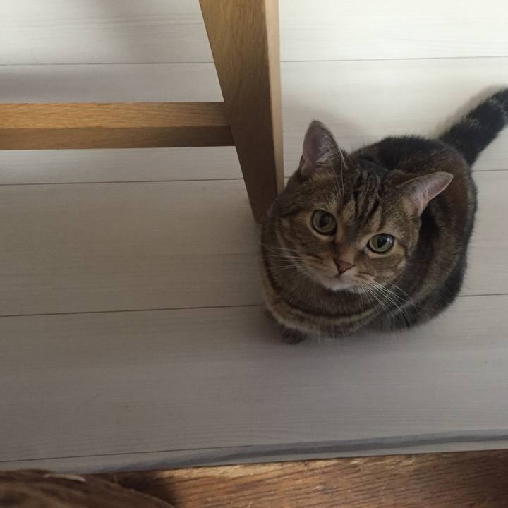 441992de cc34 43d2 a662 2d5754615774