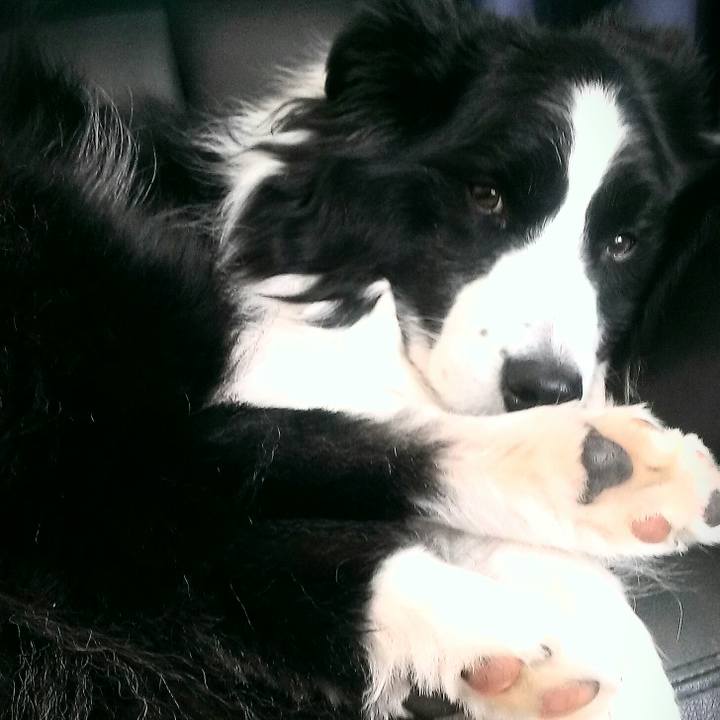 441a56ff e5c8 47ca 99c0 196c279635d7