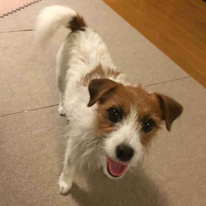 441aaadd cf90 4650 a254 06ec05d5fcab