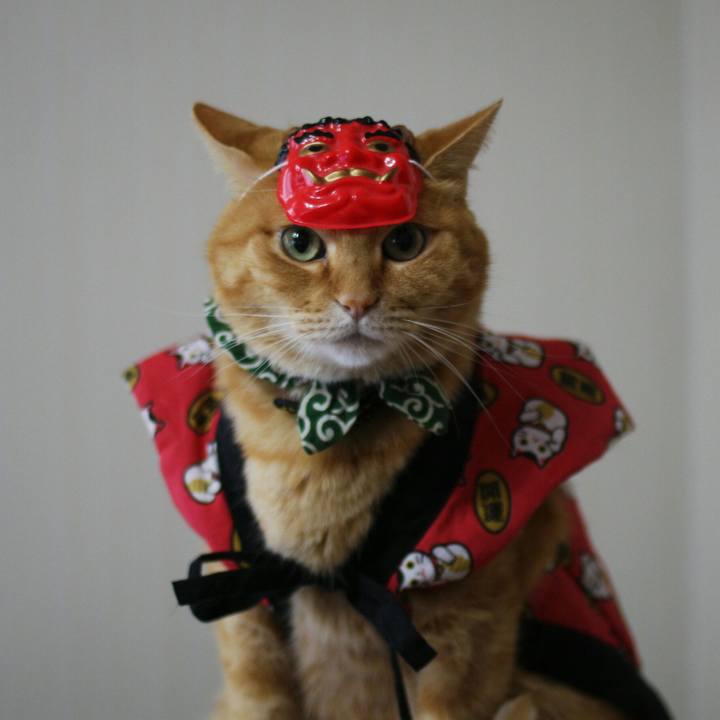 441affd6 80bc 4da7 ba51 8765b2462ac4