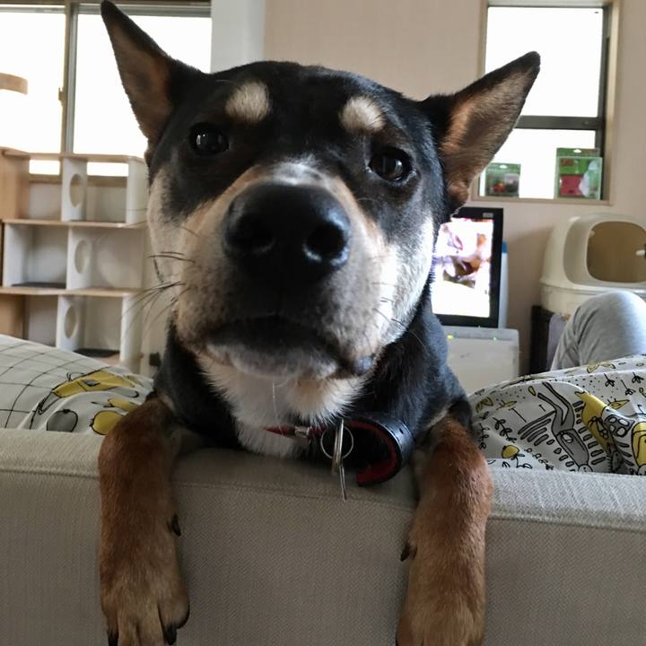 441b2712 a5bc 4057 8f43 3aae0bd837f0