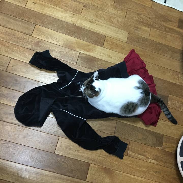 441b8553 c1cd 4416 b3bc 28f8503e1539