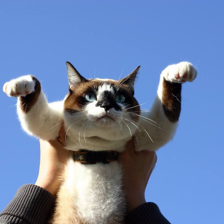 441bf2f6 f873 4e72 a2ad bdcab5ed9efb