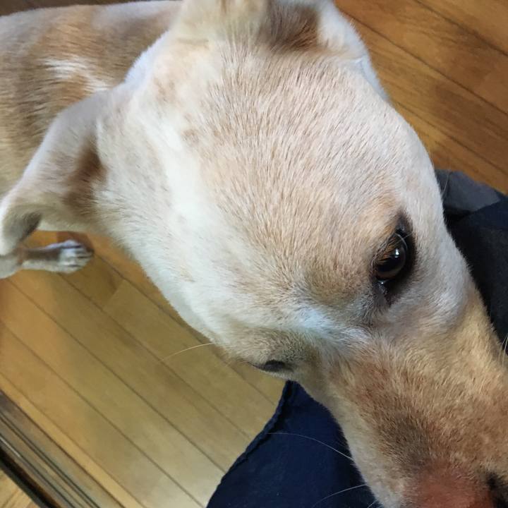 441c12b0 01e5 431e ba7f 66669f646399