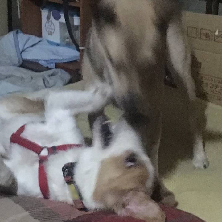 441c5ef5 86db 46ad b7a4 3298689516c7