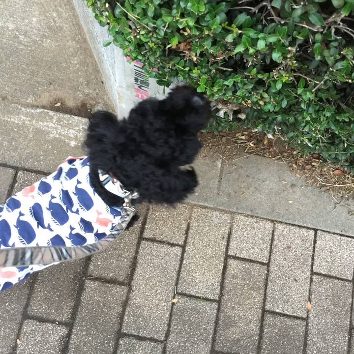 441ca801 421e 4916 a1fa 38252fc390f0