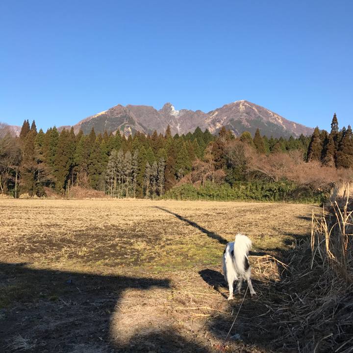 441cc2ea 093c 402f 92a2 58a7b5346845