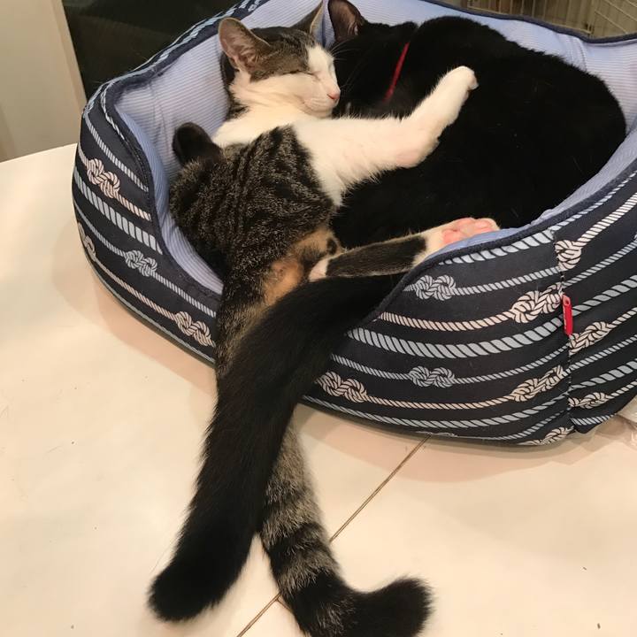 441ce764 d7ce 4436 bf6a 7f5618de1042