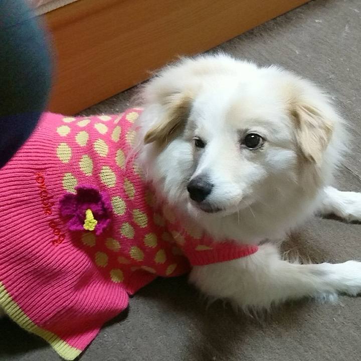 441d5376 40f0 40c4 a92c 121b37e869b1