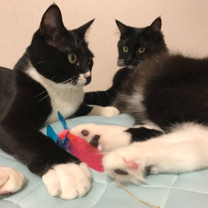 441d60f6 d31e 475e 9c9f 000a144d6a7d