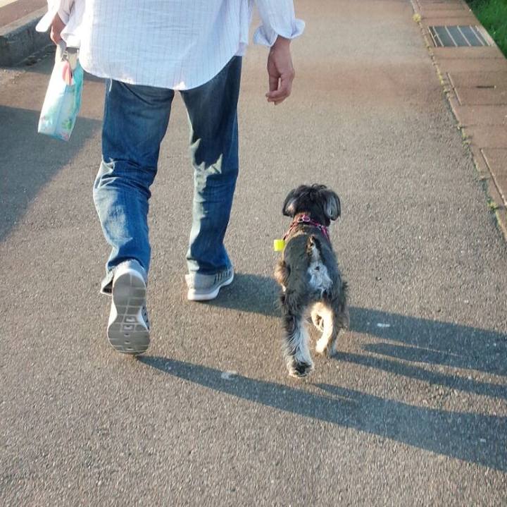 441db28d ea01 42cb 9275 2b769249a3b3