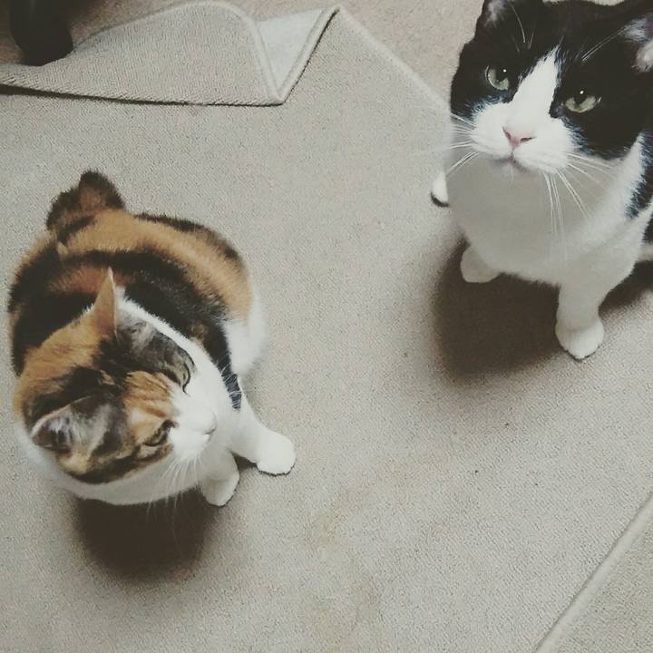 441dcc17 1f42 445b b5e3 46c585af9855