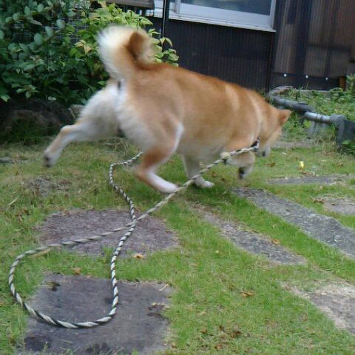 441eec38 ba89 4229 87ca bfd572bf0f5e