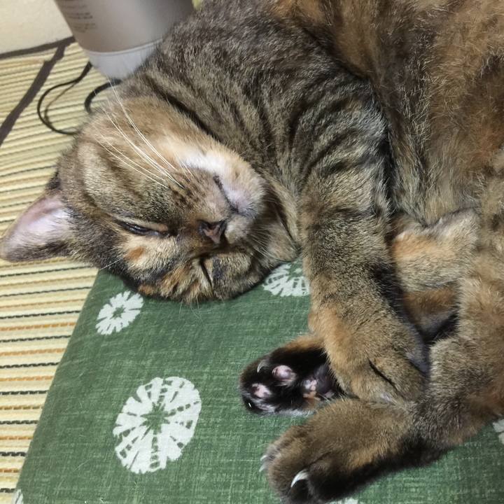 441efe90 c64a 4159 96d2 63e8e9a1ebad