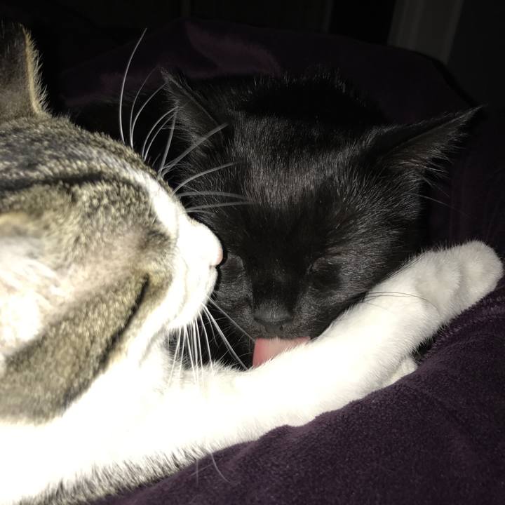 441f69c4 cd8a 4622 9e64 40263e5beff5