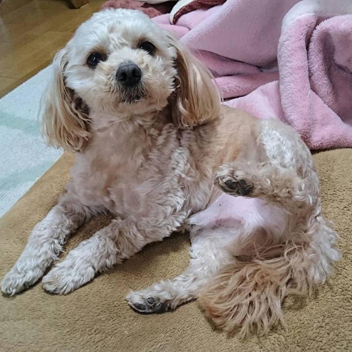 4421844f 0bc8 46ab ae40 0f421a5b29a8