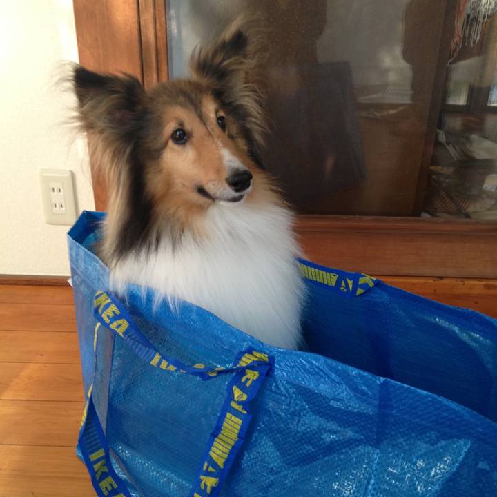 4421b617 bc78 4110 a0b9 24f8ab843a5b