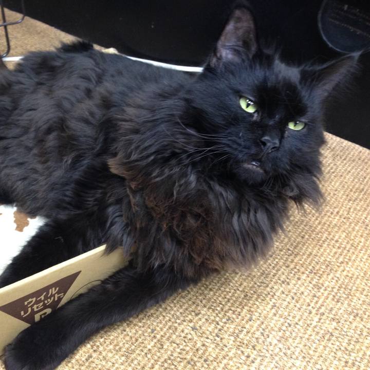 4421ef2c ba8e 4066 93be 0da29c78529b