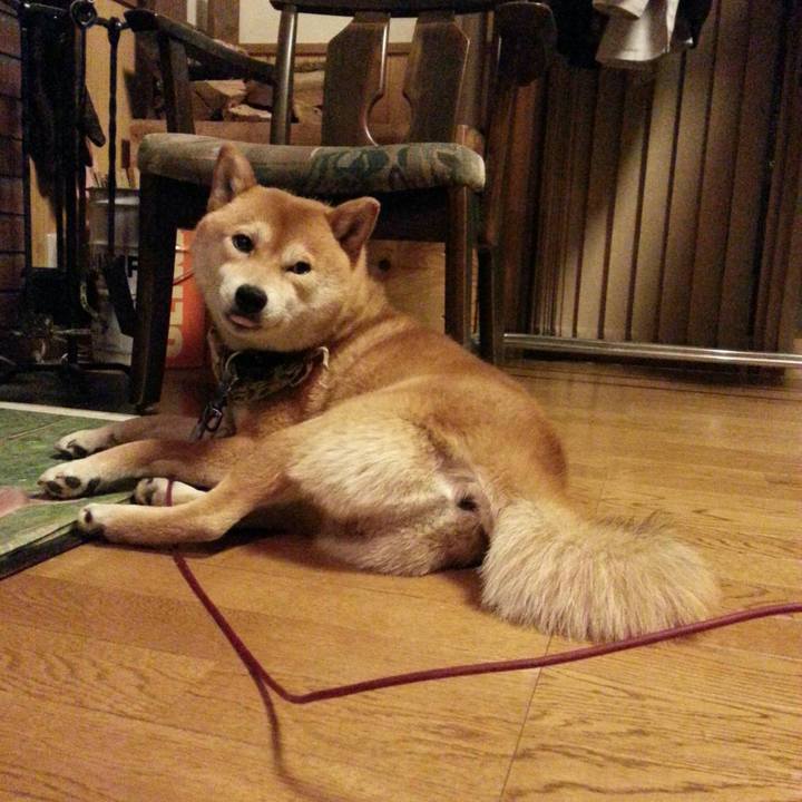 44220ce9 1284 4529 916a 63f783cd0c8d