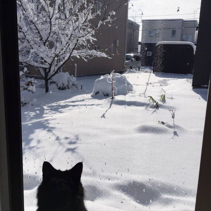 44224781 b468 40f0 a202 2965a3361994