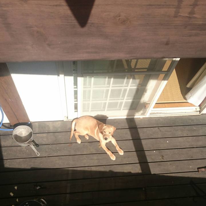 44235388 c877 49c3 9c16 9ed6df75047a