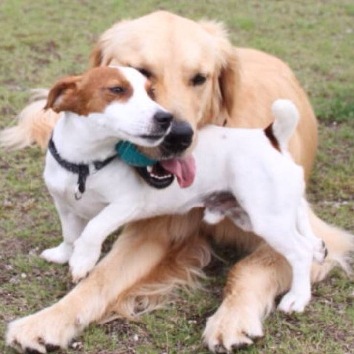 4423f37a f12e 47a3 a3df 27609de4b702