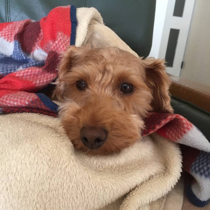 44240b51 5ec2 4f81 8b7b df8e19d77a5b