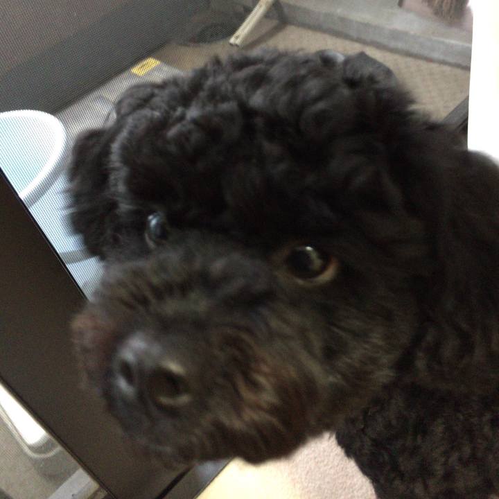 44241ae9 f803 44fd 8ea4 5e792f903c15