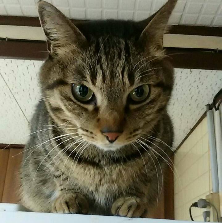 44245713 02ef 4982 87dd 0abe4168703a