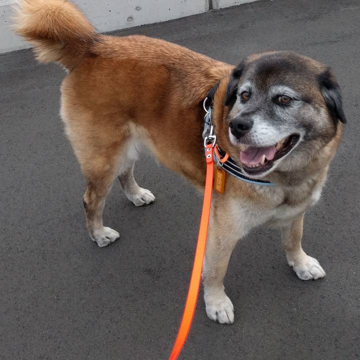 4424949b d613 480a 8d5e 5c402e580049